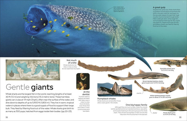 Eyewitness Shark: Dive into the fascinating world of sharks