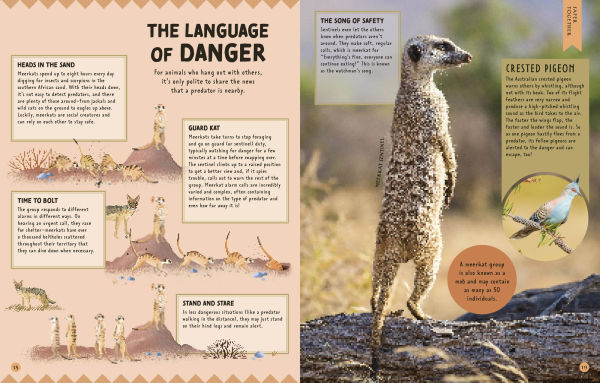 How Not to Get Eaten: More than 75 Incredible Animal Defenses