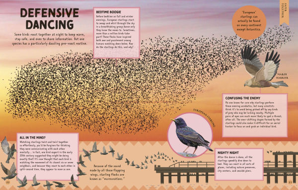 How Not to Get Eaten: More than 75 Incredible Animal Defenses