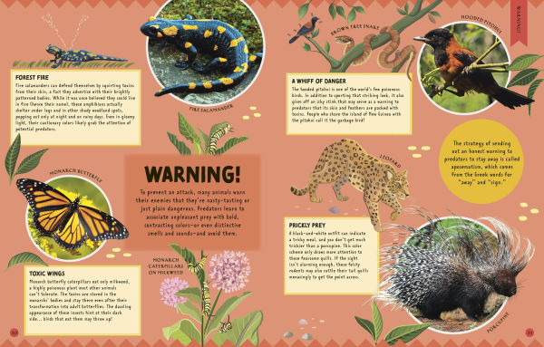How Not to Get Eaten: More than 75 Incredible Animal Defenses