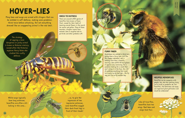 How Not to Get Eaten: More than 75 Incredible Animal Defenses