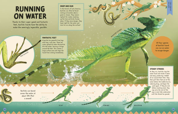 How Not to Get Eaten: More than 75 Incredible Animal Defenses