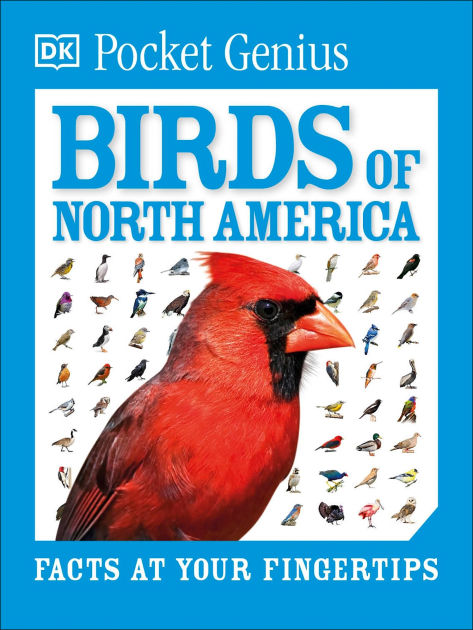 Pocket Genius Birds of North America by DK, Paperback | Barnes & Noble®