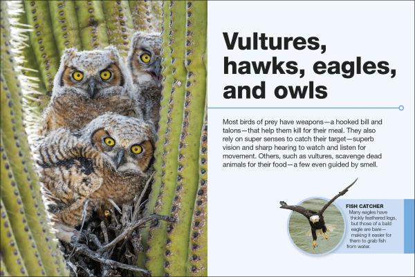 Pocket Genius Birds of North America