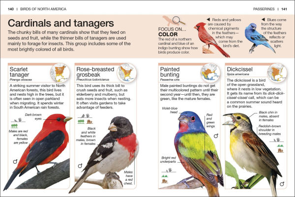 Pocket Genius Birds of North America
