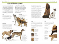 Alternative view 2 of Dogs