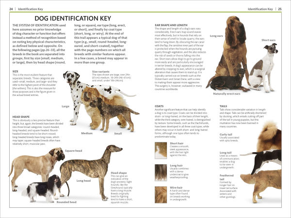 Dogs