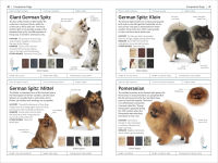 Alternative view 3 of Dogs