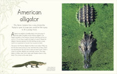 Alternative view 6 of An Anthology of Aquatic Life