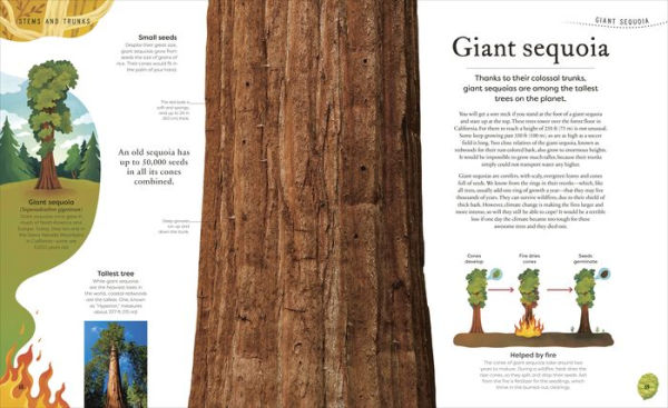 The Secret World of Plants: Tales More Than 100 Remarkable Flowers, Trees, and Seeds