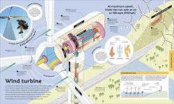 Alternative view 8 of How Everything Works: From Brain Cells to Black Holes