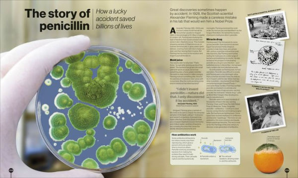 Timelines of Science: From Fossils to Quantum Physics