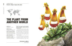 Alternative view 4 of Hortus Curious: Discover the World's Most Weird and Wonderful Plants and Fungi