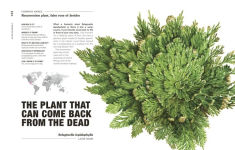 Alternative view 5 of Hortus Curious: Discover the World's Most Weird and Wonderful Plants and Fungi