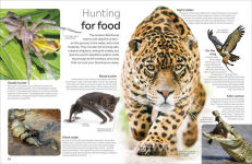 Alternative view 5 of Eyewitness The Amazon