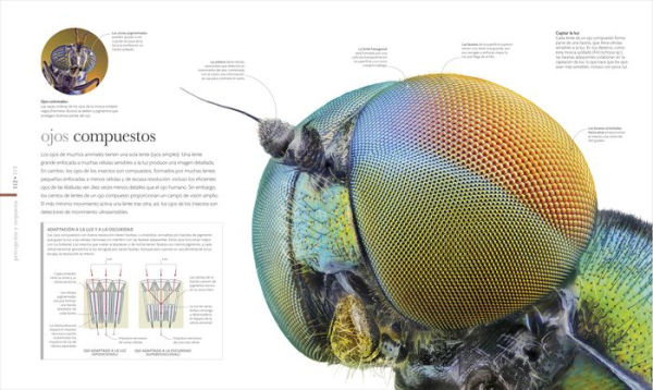 Vida microscópica (Micro Life): Maravillas de un mundo en miniatura