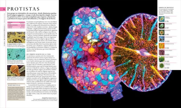 El libro de la naturaleza (Natural History): Enciclopedia del mundo natural en imágenes