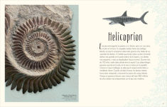 Alternative view 3 of Antología de dinosaurios y vida prehistórica (Dinosaurs and Other Prehistoric Life)