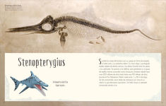 Alternative view 5 of Antología de dinosaurios y vida prehistórica (Dinosaurs and Other Prehistoric Life)