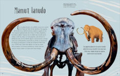 Alternative view 9 of Antología de dinosaurios y vida prehistórica (Dinosaurs and Other Prehistoric Life)