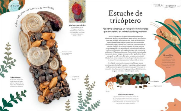 Tesoros de la naturaleza (Nature's Treasures): Un viaje inolvidable por los secretos del mundo natural