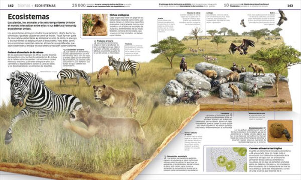 Planeta tierra (Knowledge Encyclopedia Planet Earth!): El mundo como nunca antes lo habías visto