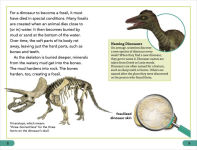 Alternative view 3 of DK Super Readers Level 3 Dinosaurs Discovered