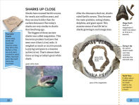 Alternative view 4 of DK Super Readers Level 4 Shark Attack