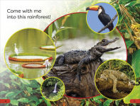 Alternative view 2 of DK Super Readers Pre-Level Into the Rainforest
