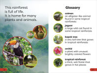 Alternative view 4 of DK Super Readers Pre-Level Into the Rainforest