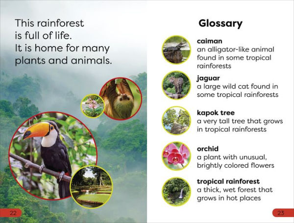 DK Super Readers Pre-Level Into the Rainforest