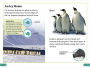 Alternative view 3 of DK Super Readers Level 3 Emperor Penguins