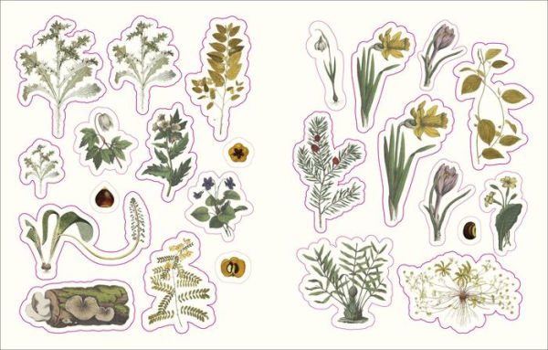 The Forests, Fairies and Fungi Sticker Anthology: With More Than 1,000 Vintage Stickers