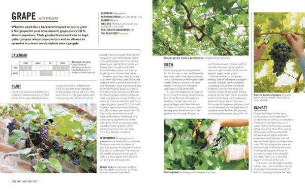 Grow Fruit: Essential Know-how and Expert Advice for Gardening Success