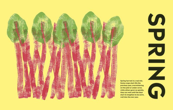 Rekha's Kitchen Garden: Seasonal Produce and Homegrown Wisdom from a Year One Gardener's Plot