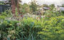 Alternative view 6 of Rekha's Kitchen Garden: Seasonal Produce and Homegrown Wisdom from a Year in One Gardener's Plot