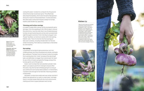 Rekha's Kitchen Garden: Seasonal Produce and Homegrown Wisdom from a Year One Gardener's Plot