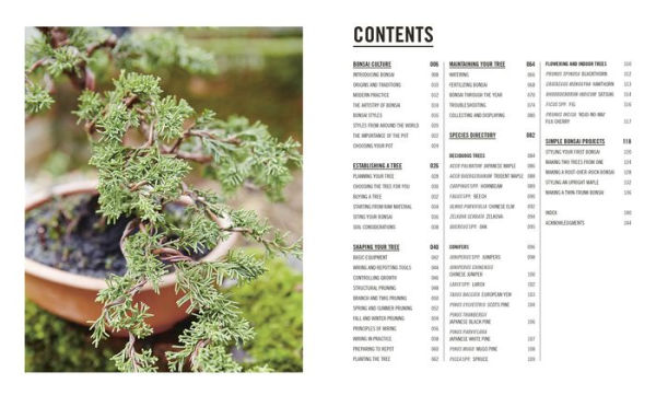 Grow Bonsai: Essential Know-how and Expert Advice for Gardening Success