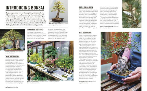 Grow Bonsai: Essential Know-how and Expert Advice for Gardening Success