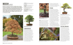Alternative view 4 of Grow Bonsai: Essential Know-how and Expert Advice for Gardening Success