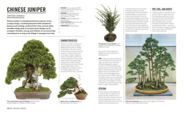 Grow Bonsai: Essential Know-how and Expert Advice for Gardening Success