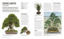 Alternative view 5 of Grow Bonsai: Essential Know-how and Expert Advice for Gardening Success