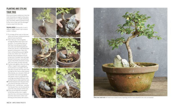 Grow Bonsai: Essential Know-how and Expert Advice for Gardening Success
