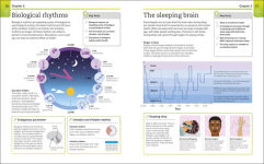 Alternative view 2 of Super Simple Psychology: The Ultimate Bitesize Study Guide