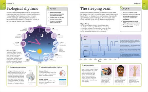 Super Simple Psychology: The Ultimate Bitesize Study Guide