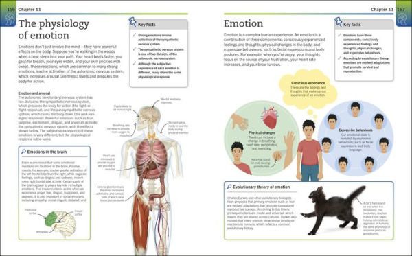 Super Simple Psychology: The Ultimate Bitesize Study Guide