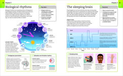 Alternative view 5 of Super Simple Psychology: The Ultimate Bitesize Study Guide