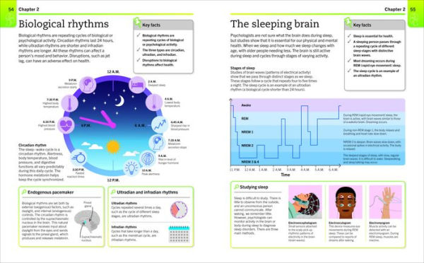 Super Simple Psychology: The Ultimate Bitesize Study Guide