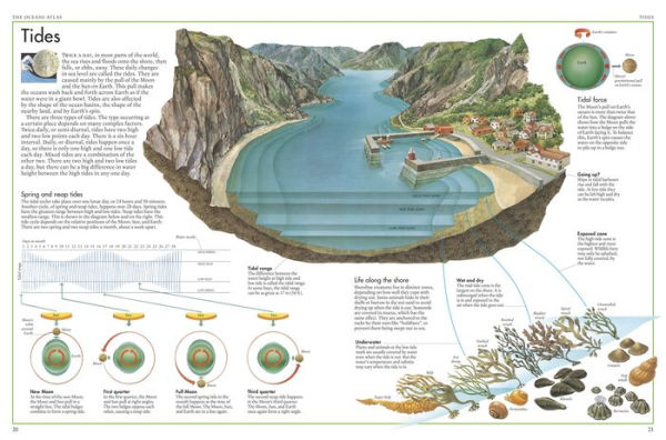 The Oceans Atlas: A Pictorial Guide to the World's Waters