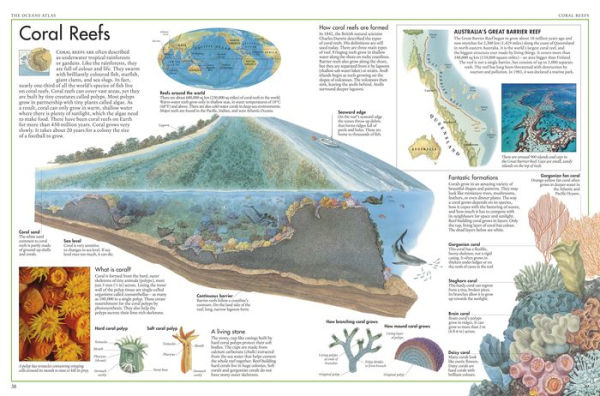 The Oceans Atlas: A Pictorial Guide to the World's Waters